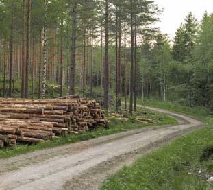 Logistiikan digitalisaation välineitä Reaaliaikainen