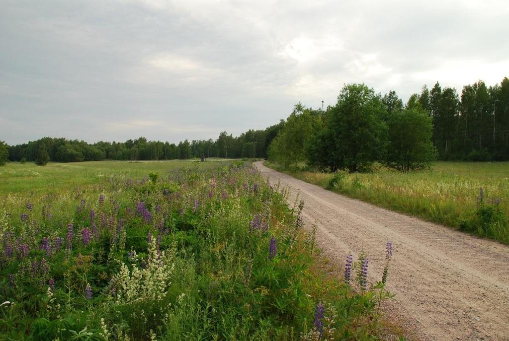 Yksityistiet Jokamiehenoikeudet