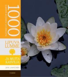 13 LAA Tarkka haukka ja muita lintuja Tekijä: