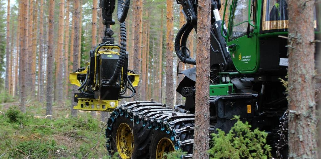 Tulevaisuuden näkymät Itä-Suomessa Biojalostamot ja biojalostukseen perustuvat investoinnit jalostusasteen parantaminen Bioteollisuusalueiden muodostaminen