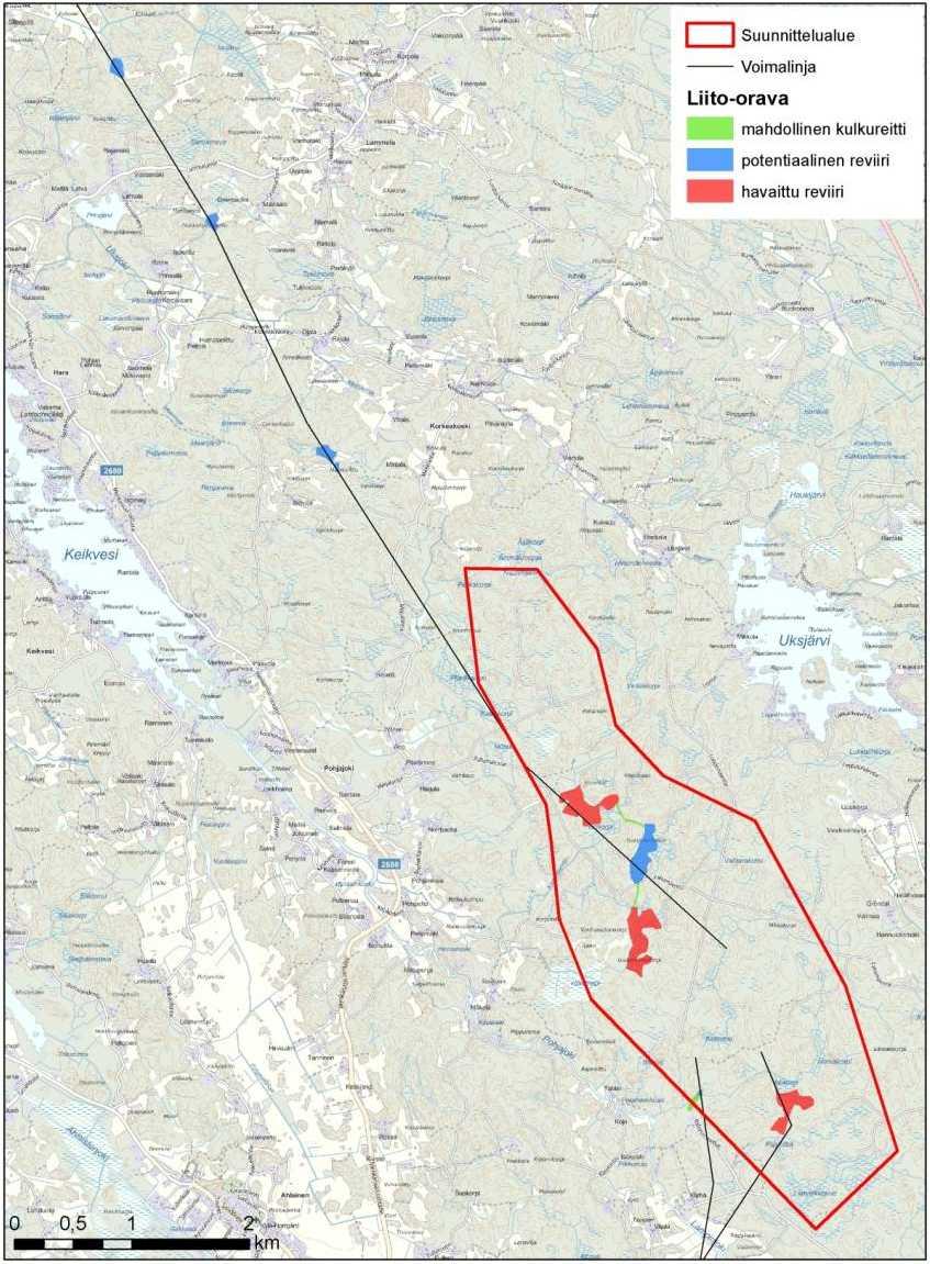 Kuva 10-7. Suunnittelualueen ja voimalinjavaihtoehtojen liito-orava alueet Viitasammakko Viitasammakkoselvityksessä ei havaittu viitasammakoita tai niiden lisääntymisalueita.