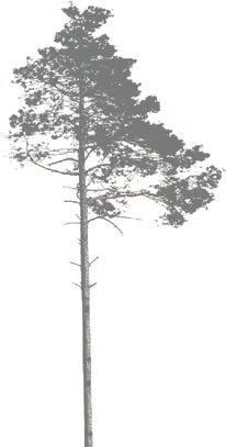 mahdollinen (esim. hulevesiä keräävä painanne)! nivelet et heiluis? 1.! 2. Vesipesä rakennetuille ja luonnontilaisen kaltaisille alueille nivelet et heiluis?