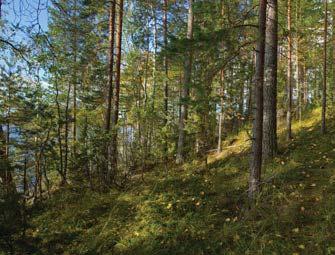 KAAVA-ALUEEN SIJAINTI JA MAANOMISTUS Haikankärjen ranta-asemakaava, kaavaselostus, liite 1: Osallistumis- ja arviointisuunnitelma Haikankärki sijaistee Kukkia-järven keskiosassa Haikanvuoren