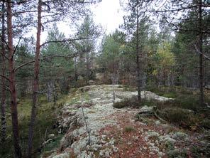 Tiivistelmä tuulivoimaloiden rakentamisalueista.