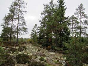 jonka lakialueella kasvaa varttunutta männikköä ja muualla