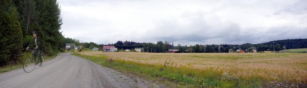 TAMMELAN KUNNAN ASUINTONTIT 14 (19) Siiki-Mutala Siiki-Mutalan asemakaava-alueella on 13 kunnan omistamaa tonttia keskellä maalaismaisemaa, mutta kuitenkin lähellä palveluita.