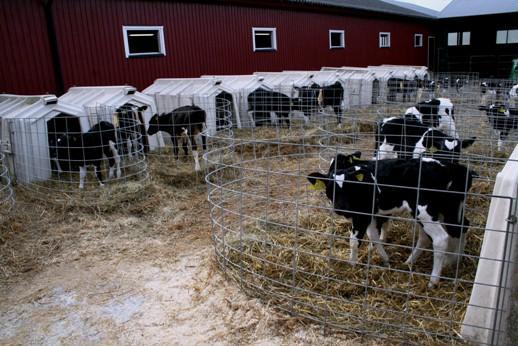 Lisälämpö ei ole aina ratkaisu ongelmaan Puutteellista ilmanvaihtoa ei korjata lämpöä lisäämällä, kuten lämpöputkistoilla, säteilylämmittimillä Jos lisälämpö asennetaan tilaan, jossa on huono