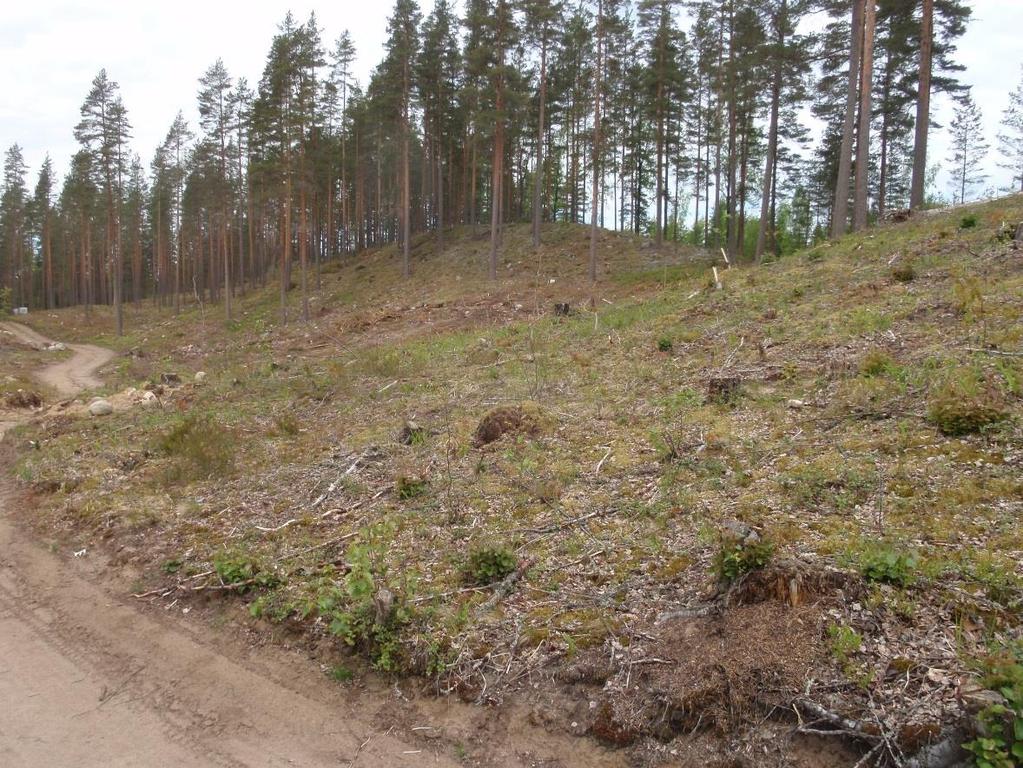 9 Kuvat 2.13 & 2.14. Kalattoman supan (kohde K1) paahderinnettä.
