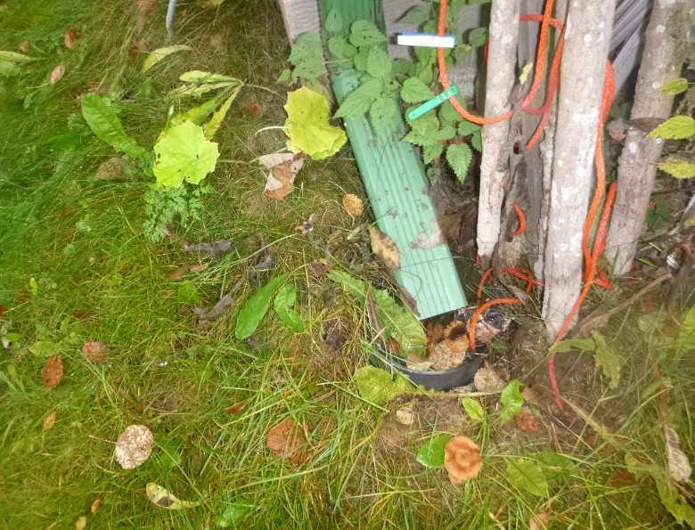 TEKNISET KÄYTTÖIÄT Ennen vuoden 1999 määräyksiä toteutettujen salaojajärjestelmien tekninen käyttöikä on n. 30-50 vuotta (huoltamattomuus vähentää ikää 25 %).