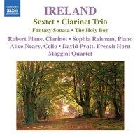 : 8,00 Yksikkö: 1 Johnson, Emma - Music for Clarinet and Piano Emma Johnson, clarinet; John Lenehan, piano.
