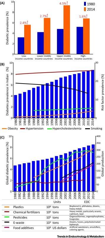 Diabeteksen esiintyvyys alueittain Diabeteksen esiintyvyys Intiassa