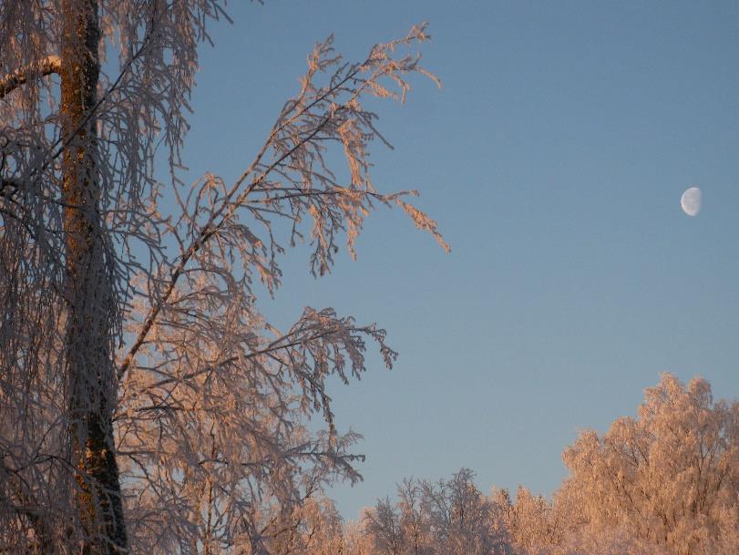 Unen puute Tilapäinen unettomuus kuuluu elämään. Jatkuva unen puute lisää nälkää ja altistaa näin lihomiselle ja sokeriaineenvaihdunnan häiriöille.