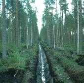 Valtion Kemera-tuki terveyslannoitukseen Kemera- tukea on mahdollista saada metsiin, joiden kehitys on taantuvaa ravinteiden epätasapainosta johtuen, metsänhoitotoimista huolimatta.