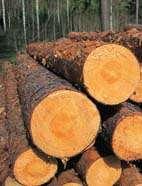 Lannoitus keväällä 2012 Mhy Päijät-Hämeen alueella 14 Metsää lannoitetaan 283 hehtaaria, joista 42 hehtaaria saa tukea Kemera- varoista Lannoitus toteutetaan helikopterilla 17 nousupaikasta viiden