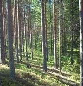 Miksi metsälannoitusta?
