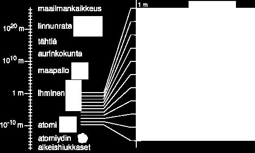 yliopisto