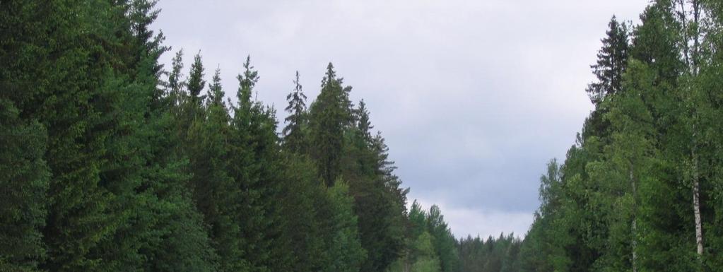 Pitkiä riista-aitaosuuksia suunniteltaessa olisi tutkittava mahdollisuus rakentaa riistalle tarkoitettuja yli- tai alikulkuja, joita käyttäen eläimet pääsevät ylittämään tien ilman, että kohtaavat