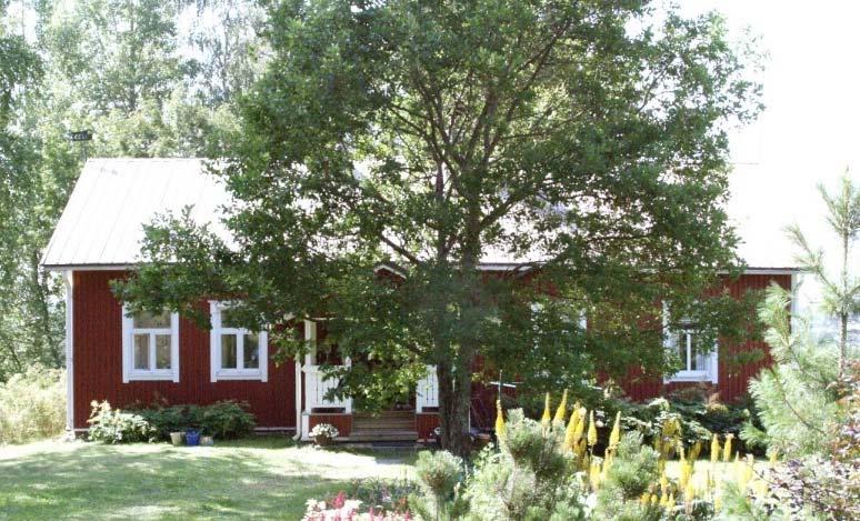 Asuinrakennus, vuosisadan vaihde