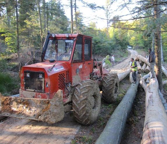 Kohde Selvityksen kohteena oli suuria metsäalueita omistava yritys Romaniassa ja sen hakkuualueilla puunkorjuuta tekevät urakoitsijat.