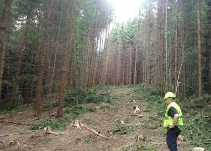 Puunhankinta -tapaustutkimus Metsätyöt Metsätöiden järjestelyjä seurattiin harvennushakkuukohteella.