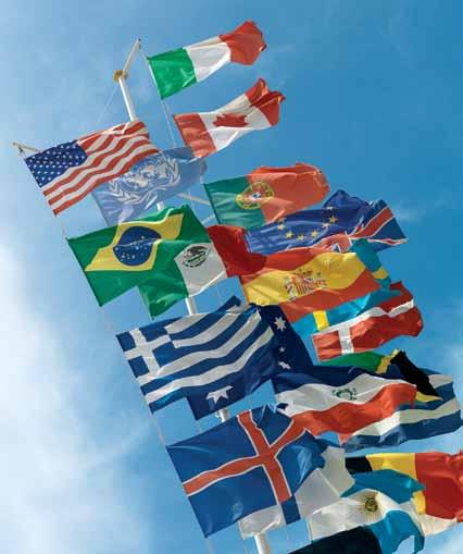 HAMINAN LIPPUMAAILMA Tausta Lippujen ja heraldisten tunnusten kautta ihmiset samaistuvat kansallisiin ja yhteisöllisiin juuriinsa.