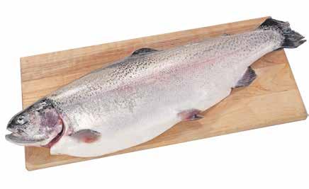 NELJÄSSÄ K-CITYMARKETISSA: KELJO,