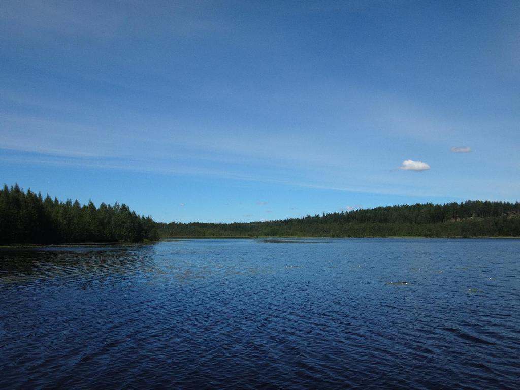 2 / 3 Kuva 2. Vihdin Tuohilammella oli aurinkoista puolen päivän aikaan 20.7.2016.