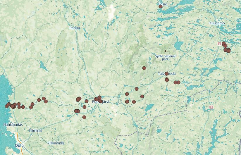 Taloudelliset mahdollisuudet Iijoella nähdään olevan suuri potentiaali erityisesti kalastusja matkailutoiminnan näkökulmasta. Alueelle ehdotettiin mm.