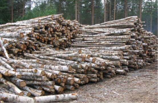 Polttopuun laatuvaatimukset Kansainvälinen polttopuustandardi: SFS-EN ISO 17225-5:2014 Laatuluokat A1 (korkealaatuinen polttopuu, paras uuneille) A2 (hieman heikompilaatuinen polttopuu) B