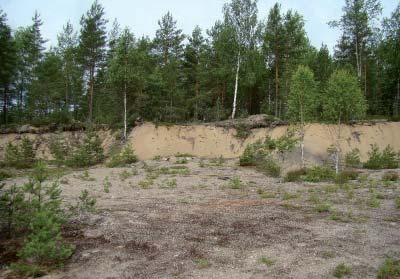 Perniö Perniön alueella suojelusuunnitelma tulisi kiireellisesti laatia Yrjännummen, Hauenkuonon, Nenustannummen, Pajajärvennummen, Ylikulman ja Kosken pohjavesialueille.