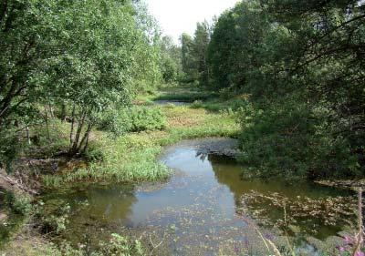 Rauma Pohjavesialueet Rauman alueella sijaitsee kuusi I-luokan pohjavesialuetta, joista kolme on kalliopohjavesialueita. Alueille ei ole tehty suojelusuunnitelmia.