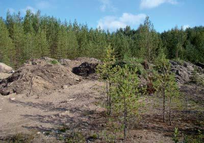 0274702 Marjamäenkangas Alueella sijaitsee yksi kuoppa, kuoppaa ei ole muotoiltu mutta alue on lähes kokonaan metsittynyt. Kuopalla ei ole kiireellistä kunnostustarvetta.
