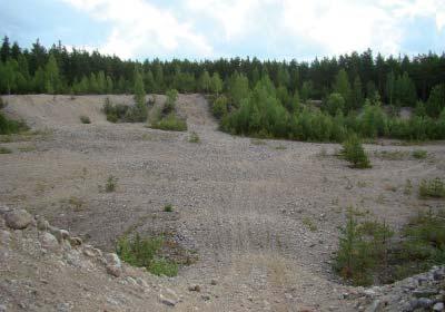 Turun alueen pohjoisosissa ja keskusta-alueen itäosissa yleisin kivilaji on kvartsi-/granodioriittia ja tonaliittia sekä mafista metavulkaniittia.