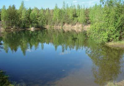Osa alueista toimii paikallisten ihmisten lähivirkistysalueena ja nämä alueet tulisikin maisemoida tarkoitukseen sopivimmiksi (mm. Kaarninko, Huhtamäki, Antintalo).