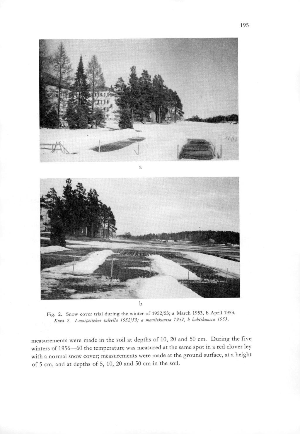 195 Fig. 2. Snow cover trial during the winter of 1952/53; a March 1953, b April 1953. Kuva 2. Lumipeitekve talvella 1952/53; a maaliskuussa 1953, b huhtikuussa 1953.
