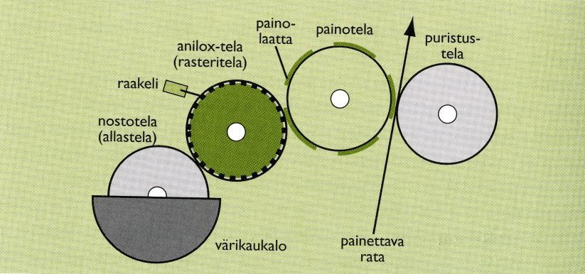 7 KUVA 1. Fleksopainoyksikön rakenne (Viluksela ym. 2007, 80) Fleksopainoa käytetään pakkausteollisuudessa samojen tuotteiden valmistukseen kuin syväpainoa.