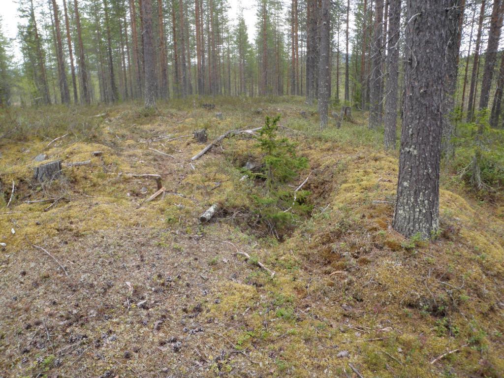 98 Kohteen rajaus Kohde rajattiin maanpinnalle änkyvien rakenteiden perusteella. Tulkinta Kohteessa on toisen maailmansodan aikaisia kenttälinnoitteita.