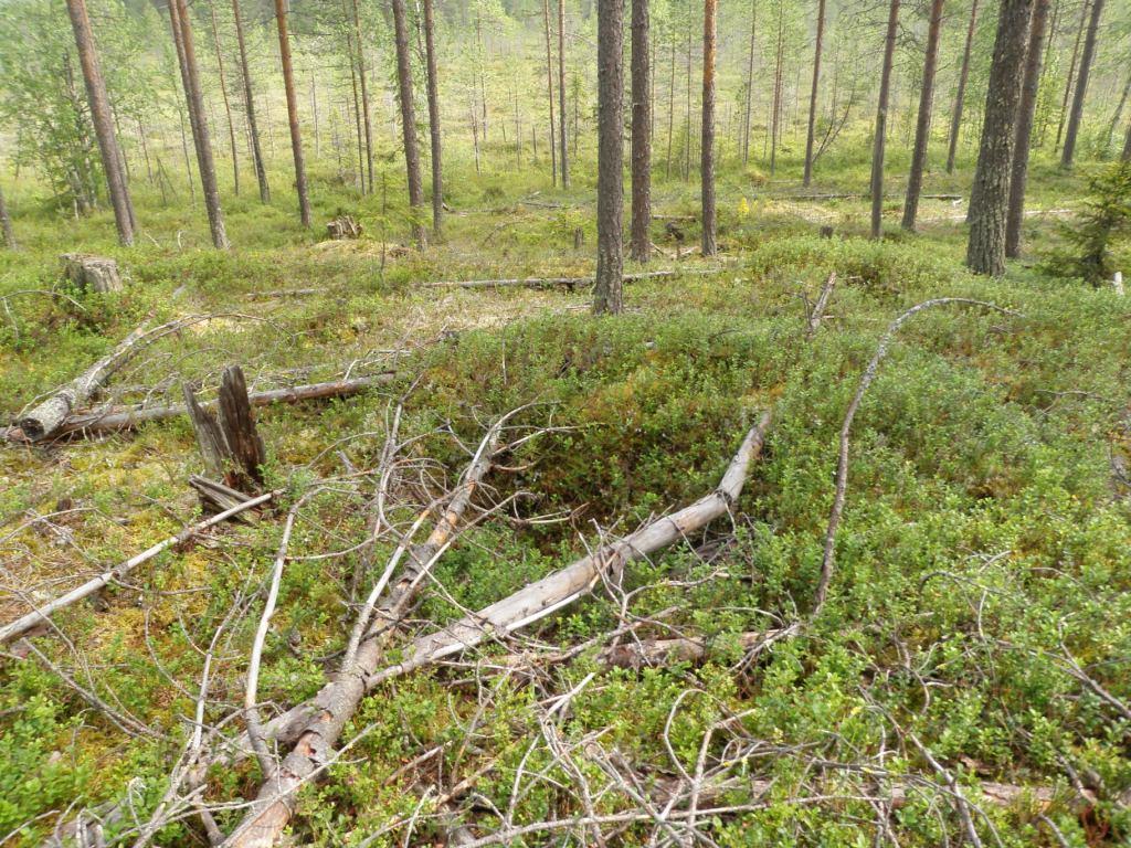 173 Kelloselässä on ollut taisteluita talvisodan aikana. Tarkastukset Tila: 3 Toteutettu Laji: 6 Suojeluarvojen tarkastus Tarkastusvuosi: 2012 Tarkastuspvm: 30.7.2012 Tarkastaja: S.