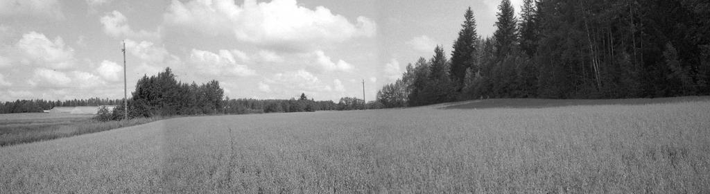 aloittamista. NE-E 26.7.2007 Satu Koivisto f.