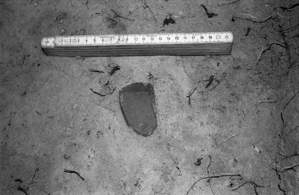 44 f. 144299 Koekuoppa 470/205. Taltta in situ. 8.
