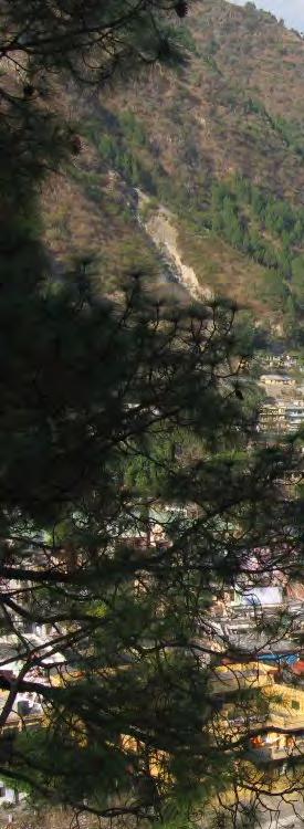 Mutta minä olin yksin Uttarakashin ashramissa kuin eristäytyneenä autiolle saarelle. Viereisen huoneen brahmachari oli lähtenyt pyhiinvaellusmatkalle.