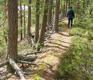 7 Jukka Parviainen AIHKI Vuonna 2017 varattuja viikkoja ovat: 14, 15, 24, 25, 29, 34 ja 37 Vuorokausimaksu on 30,00 /koko mökki. Varaukset Aulikki Kuukkanen 040 577 4100 tai aulikki.