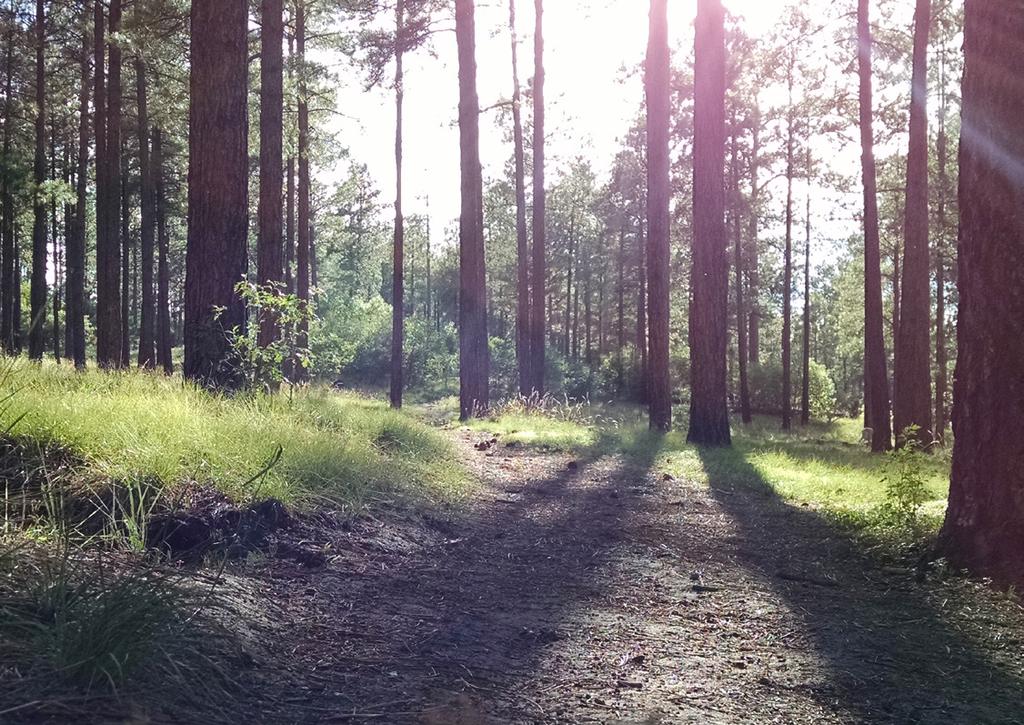 LÖYDÄ POLKUSI KOHTI