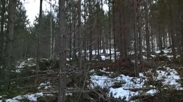 2 LÄHTÖKOHDAT 6 2.1 Selvitys uuden rakennuspaikan oloista 2.1.1 Alueen yleiskuvaus Suunnittelualue on voimassaolevassa osayleiskaavassa RA- ja M alueita. RA- alueella ei ole rakennuksia. 2.1.2 Luonnonympäristö Suunnittelualueella on laadittu luonnonympäristön selvitys osayleiskaavan laadinnan yhteydessä.