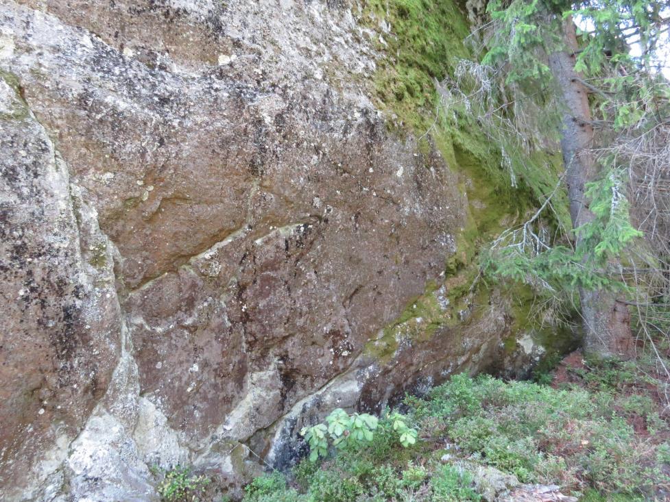 8 risteymää. Kuviolla kasvaa myös kalliokieloa (Polygonatum odoratum). Eteläreunan ketomaiset laikut sopivat palosirkan (Psophus stridulus) elinympäristöksi.