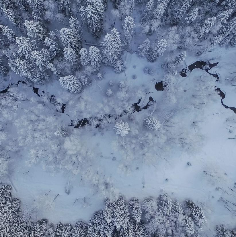 Pientalon laadunohjaus ja