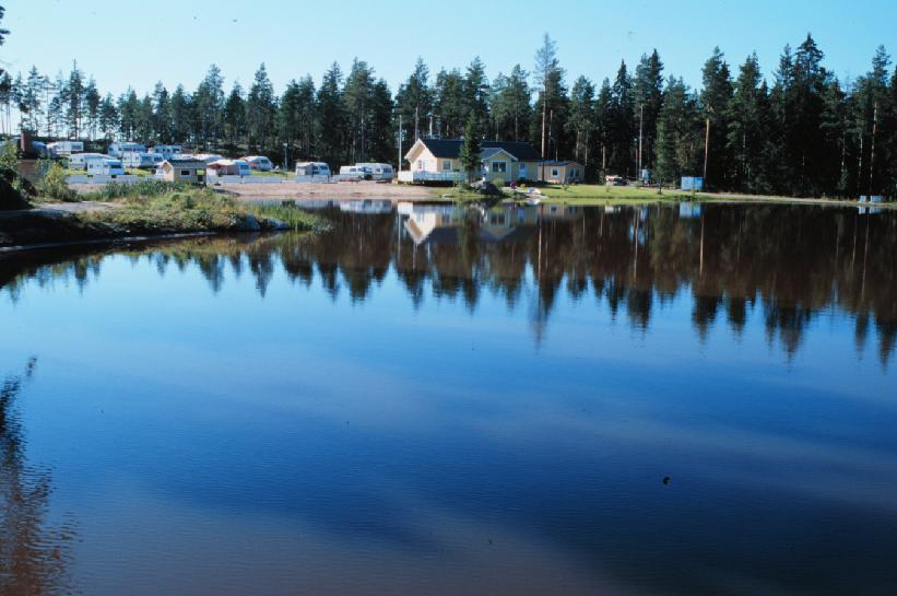 Nykyisin nämä lajit ovat löytäneet elinpaikkoja esimerkiksi teiden ja ratojen varsilta, pienlentoken tiltä ja jopa vanhoilta sorakuopilta. Niiden tulevaisuus on silti edelleen vaarassa.