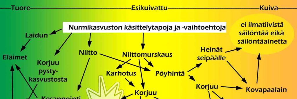 2 SÄILÖREHU KESKEISESSÄ ASEMASSA 5 2.