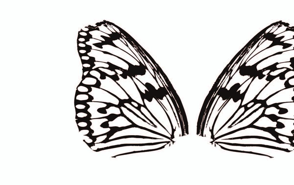Luo dramaattisia wings-meikkejä Maskaralla ja sitä täydentävällä
