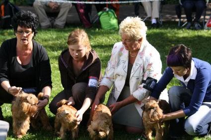 ERI 2 PN2 Huvikummun Heros Liebe 10487/03 C.I.B & FIN & EE & LV MVA JV-03 V-05-07 BALTV-07 S. 22.11.02 I. Huvikummun Heros Beethoven E. Huvikummun Lovely London Rae Kasv. Koskelin Eija Nurmijärvi Om.